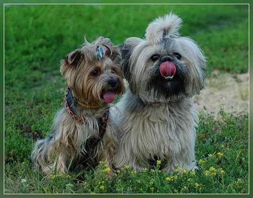 Конкурс Настоящие мачо
