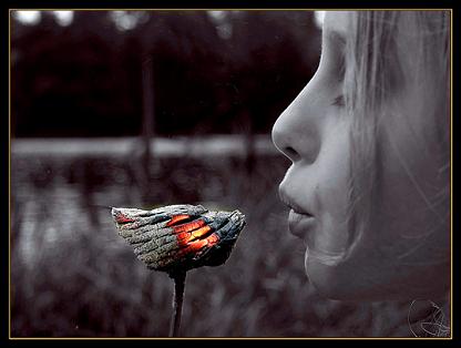 Дай мне немножечко тепла