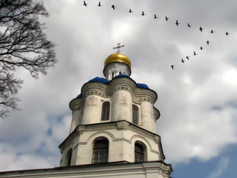 Девчонка с улицы