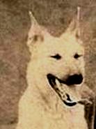 Аза. Перевод с украинского