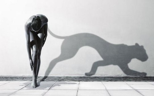 Кошки-мышки