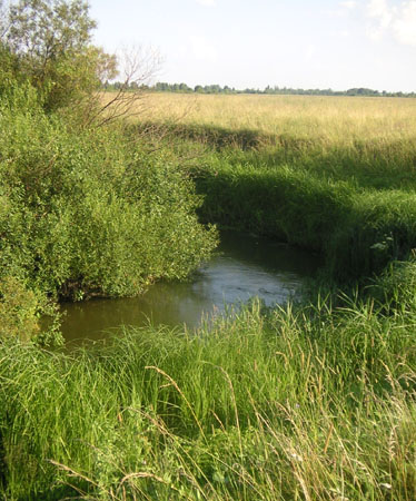 где ты детство