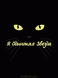 Одинокая Звезда