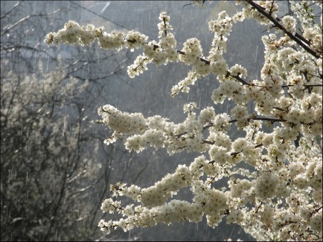 Вот и лучик...
