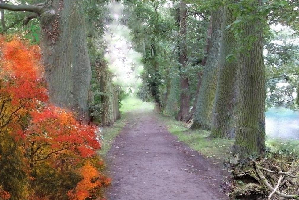 17 Дорогим ушедшим