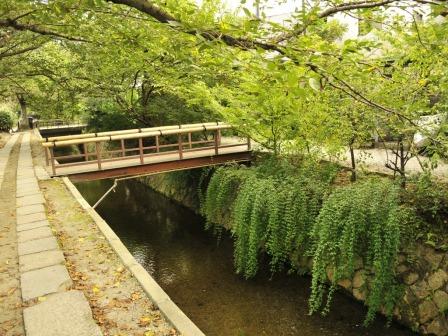 Жизнь, я тебя люблю!