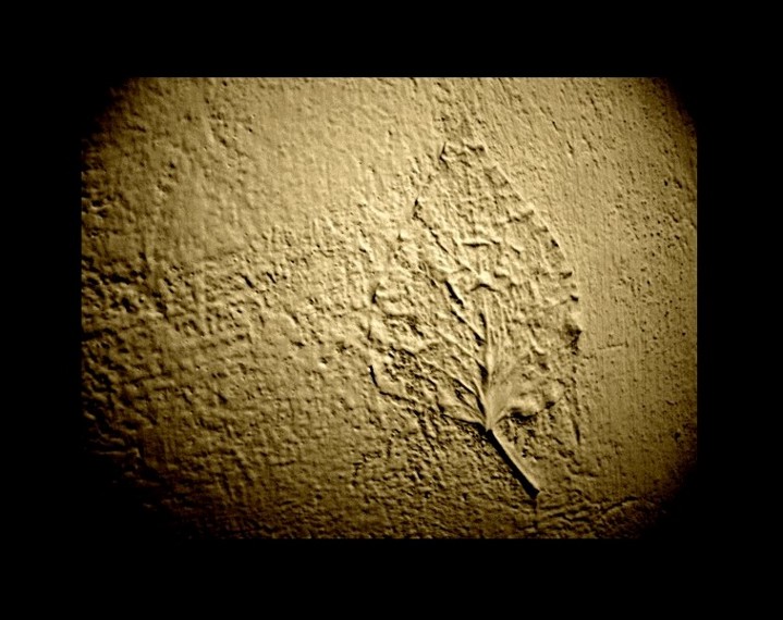 Толпы гениальных невежд