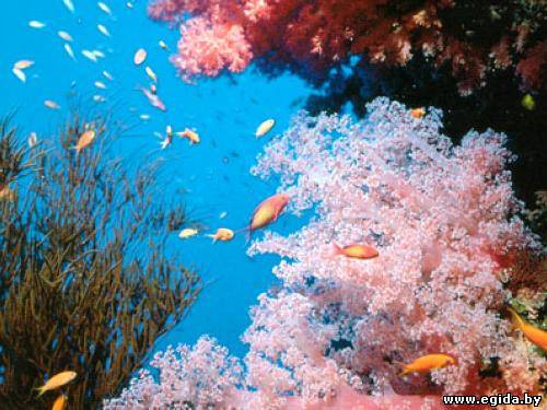 А если не знать эстрадная песня