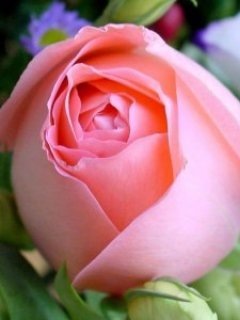 Меня коснись