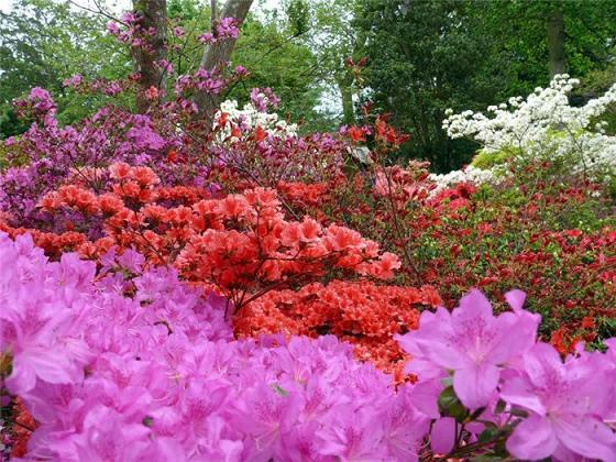 Солнце ясное лучом