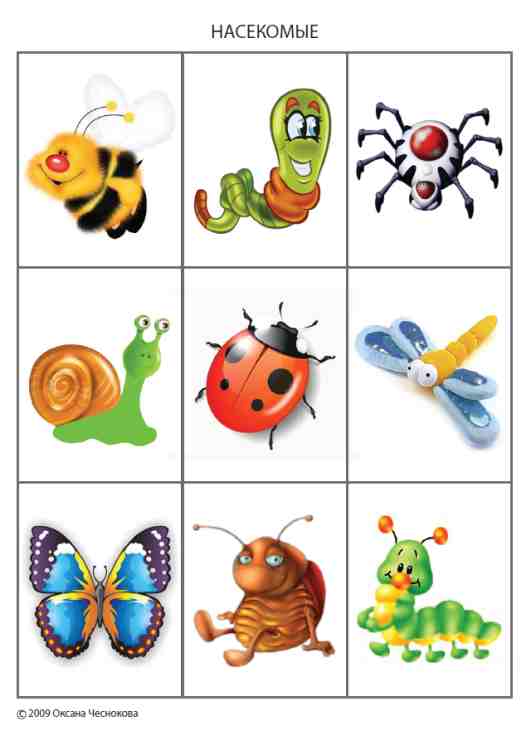 Про насекомых детям 5 лет. Насекомые для дошкольников. Лото насекомые. Лото насекомые для детей. Карточки для детей. Насекомые.