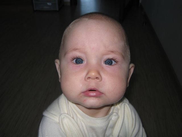 Родительский дневник. С утра до вечера