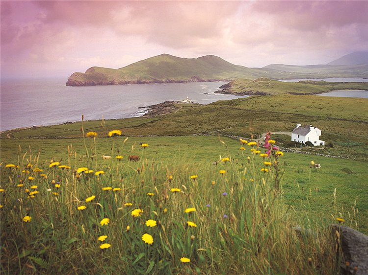 Caelchat языческое