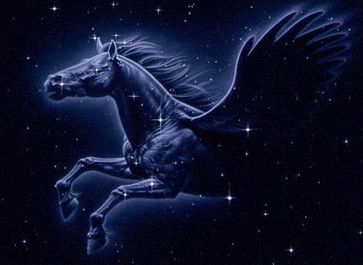 Мой каменный город