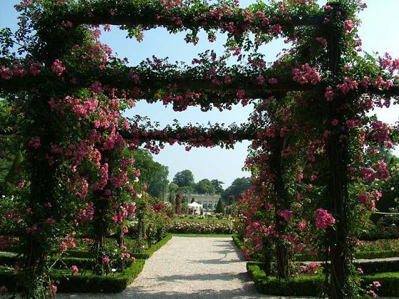 А у кого она всегда малина?