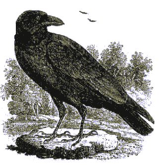 Просто... Ничего не просто