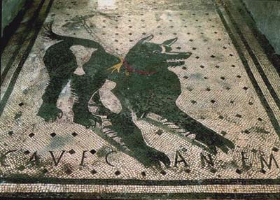 Что думает владелец cave canem...