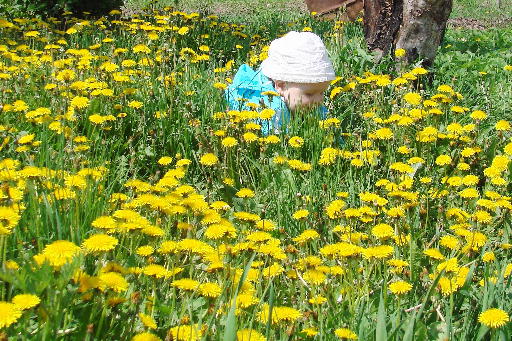 Ну, вот и лето