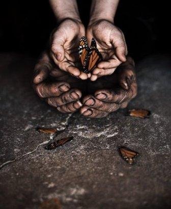 Талантливые руки