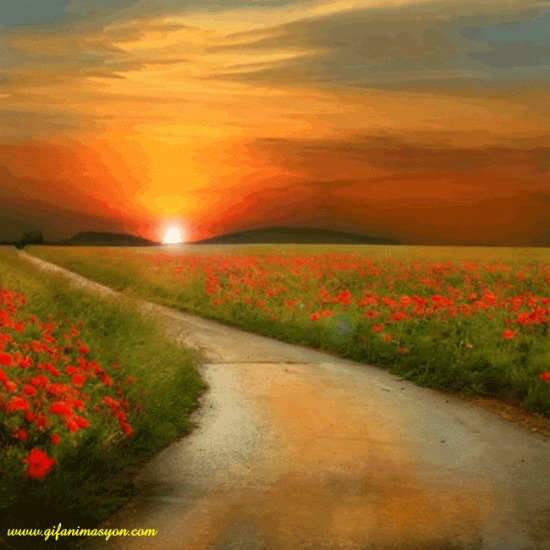 Красиво в ожидании