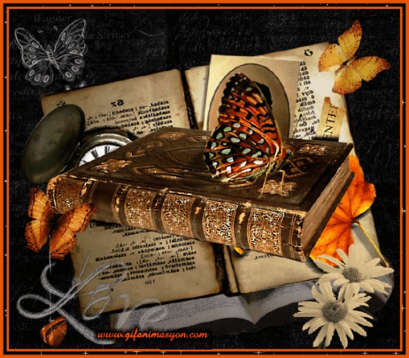 Забытая тетрадь