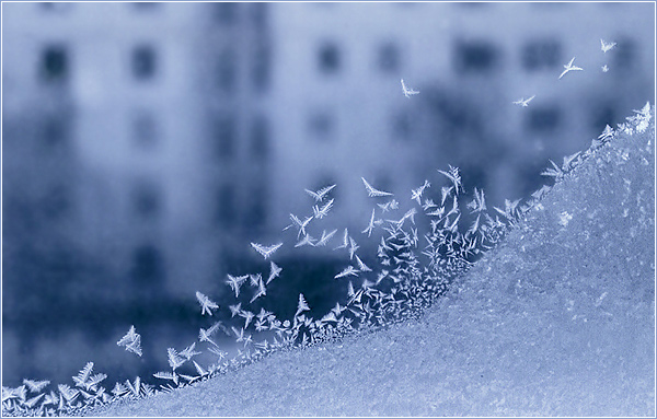 Утренняя лень