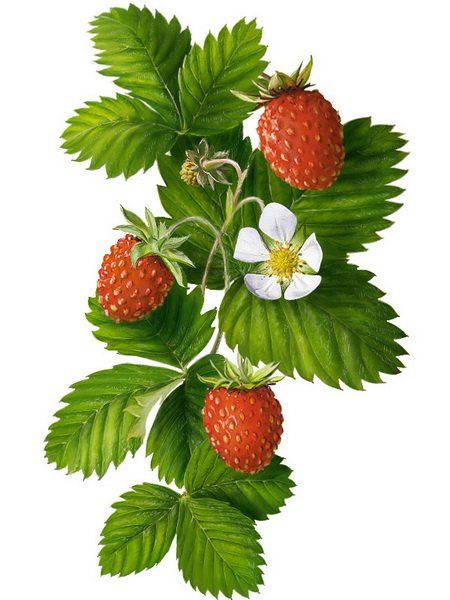 я буду солнцем