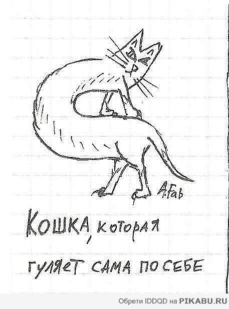 Впечатления