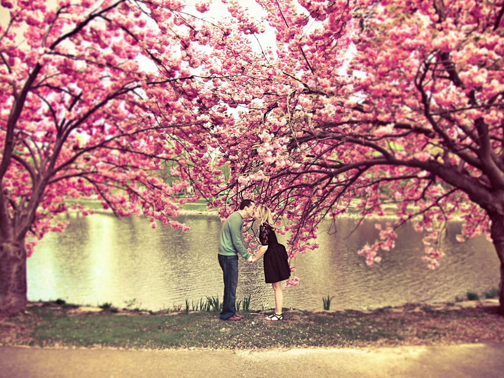 Ты будто солнце