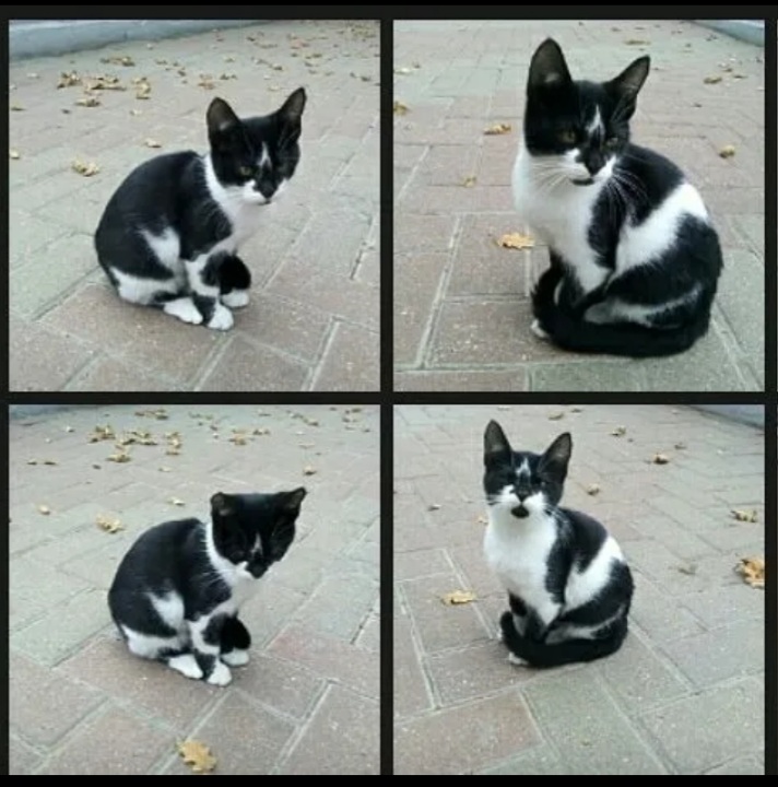 Очень много времени