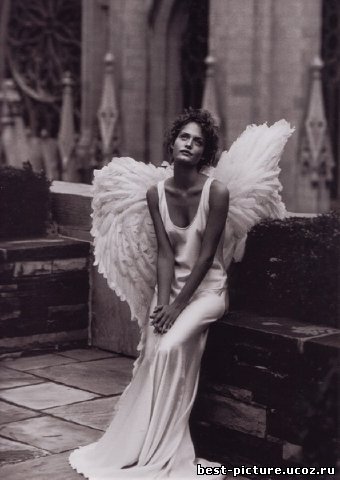 Сломанные крылья