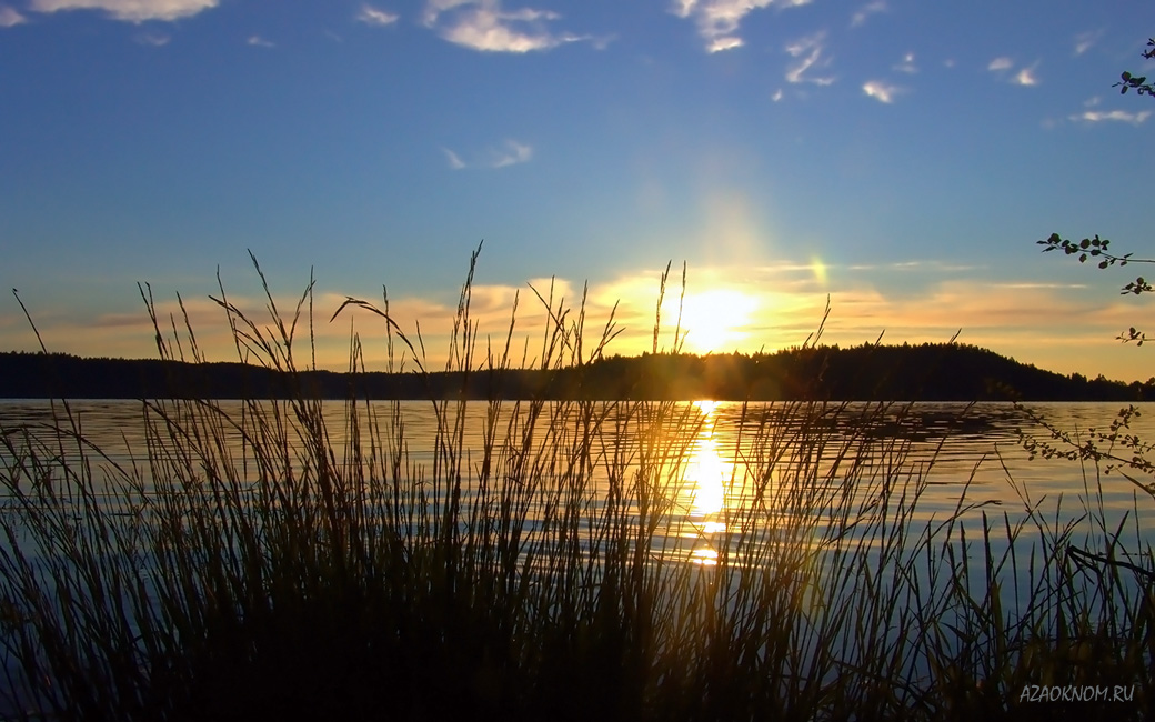 Я посвящаю жизнь тебе, любимый