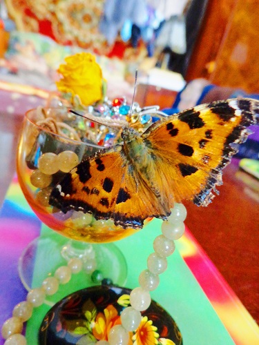 С дивана в город счастья