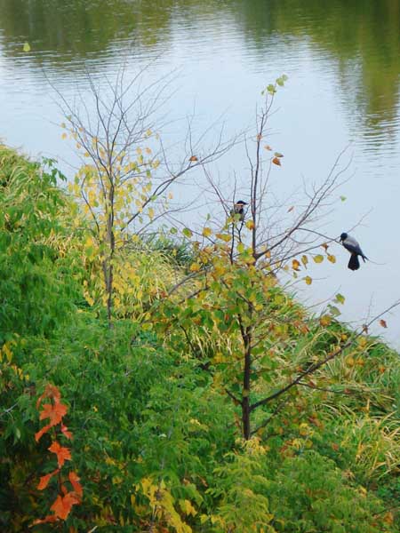 После октябрьского дождя