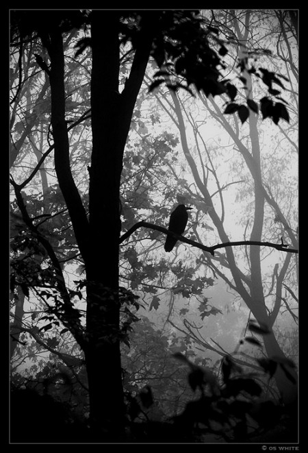 Проишествие - I