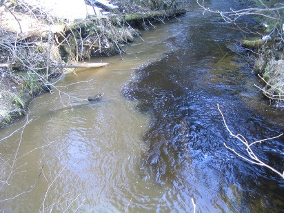 Боль сомнением растекается...