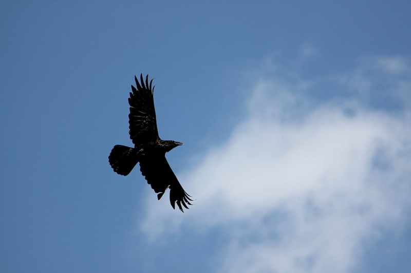 Ночная мгла с вершин сползает...
