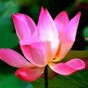 Мудрость женщины