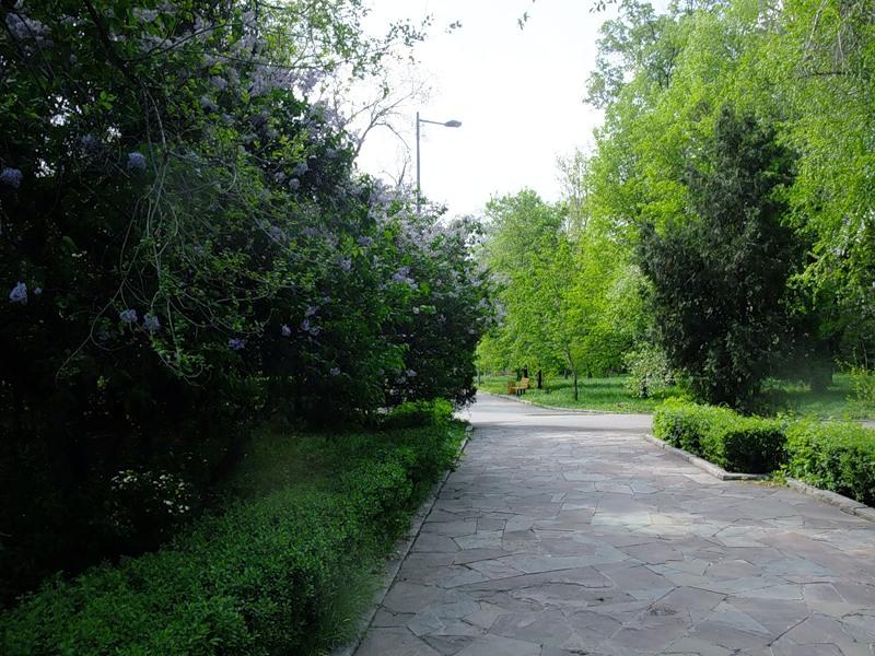 Удивительные голоса