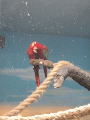 Встретились