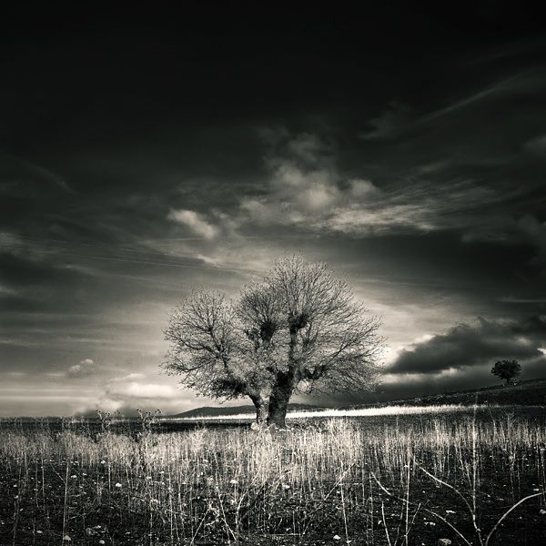 Себе, на всякий случай