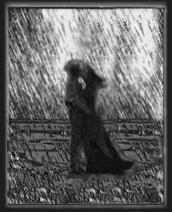 Мы любовь частицами разделим