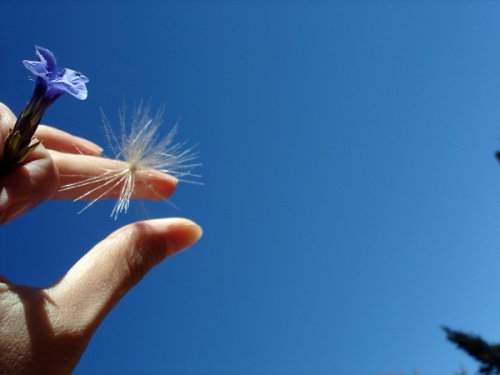 Погладил строчку я рукой..