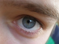 Голубые глазки