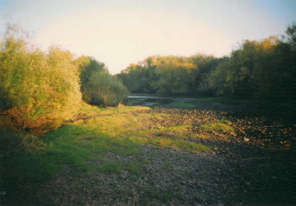 Предрешено