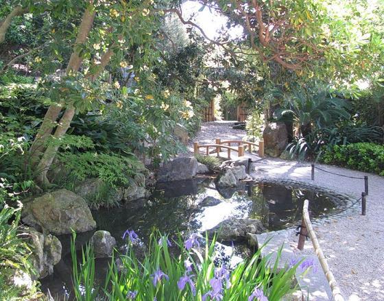 Сквозь льдинки...