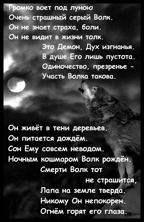 Вою под луной песня. Стих про волка. Волки стихи грустные. Стихотворение про волка до слез. Стих про волка до слез.