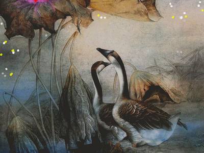 Цветение папоротника...