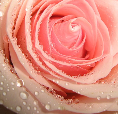 Всё самое лучшее случается неожиданно