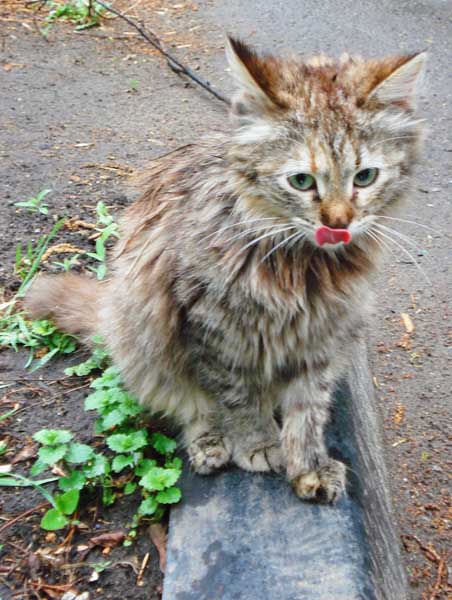 Улыбнись мне, судьба